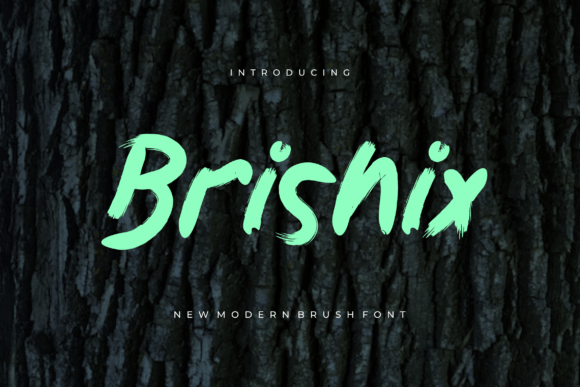 Brishix: A Playful Paintbrush Script Font for Handmade Creators