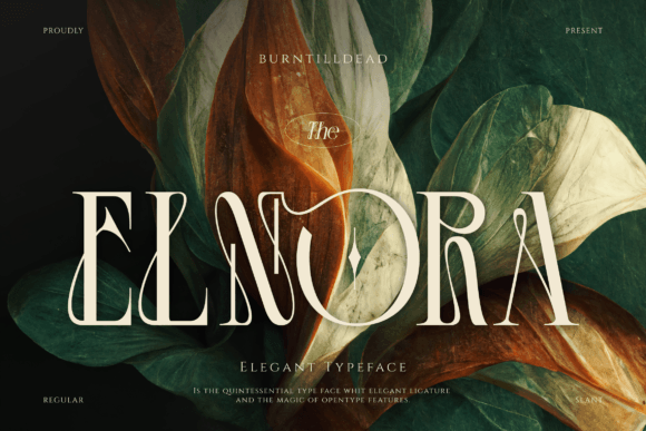 Elnora: A Serif Typeface for Editorial Elegance