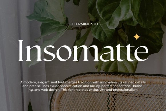 Insomatte: A Refined Serif Font for Small Business Branding