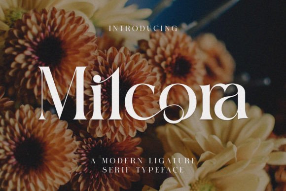 Milcora: A Modern Serif Font for Elegant Digital Branding