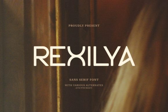 Rexilya: A Clean, Modern Sans Serif Font for Digital Brands