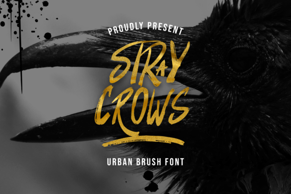 Stray Crows: A Bold Script Font for Editorial Impact